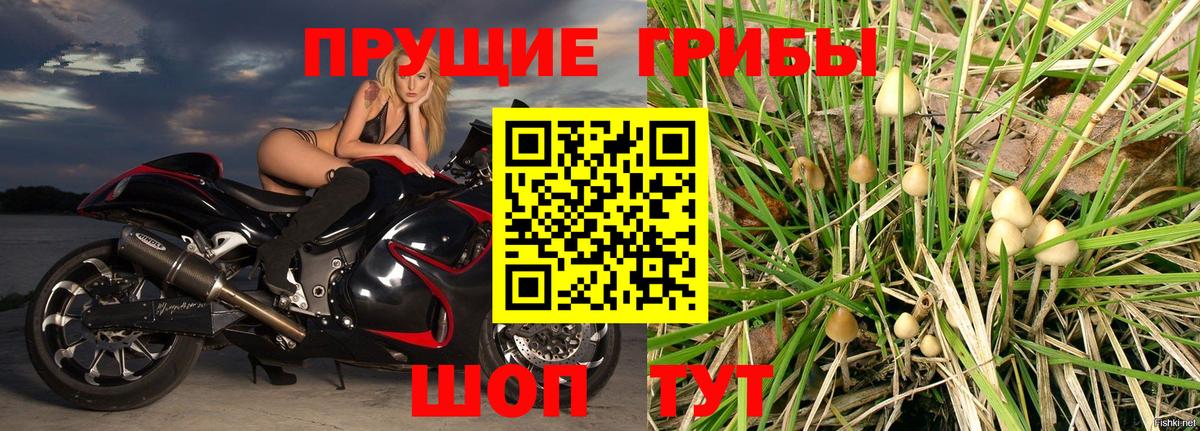 Галлюциногенные грибы Psilocybe Лиски