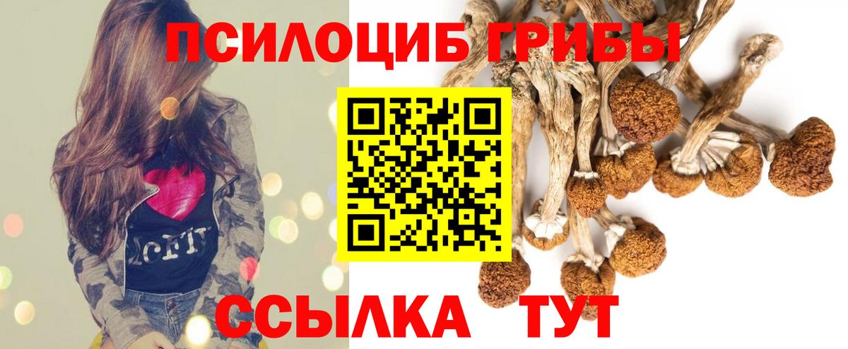 Галлюциногенные грибы Magic Shrooms  Псилоцибиновые грибы ЛСД  Вход с VPN  Лиски 